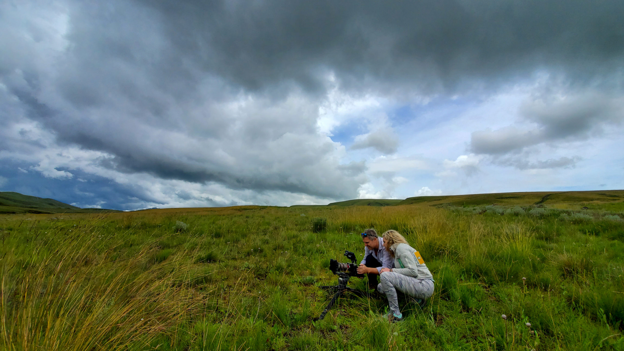 Haley and Wolfie iin a field of wildflowers filming in Tanzania